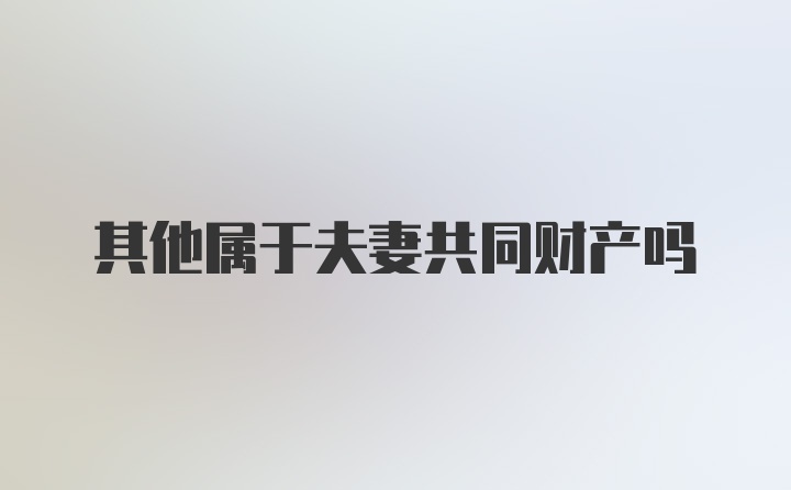 其他属于夫妻共同财产吗