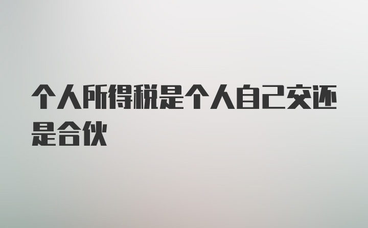 个人所得税是个人自己交还是合伙