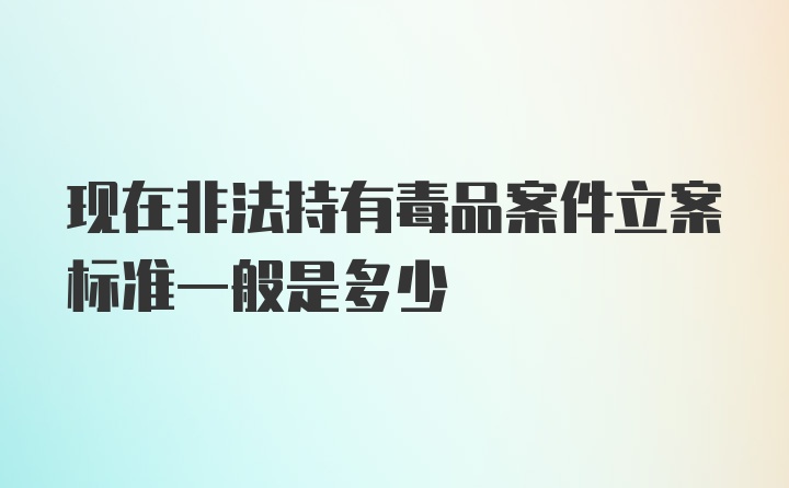 现在非法持有毒品案件立案标准一般是多少