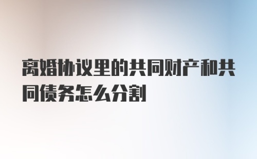 离婚协议里的共同财产和共同债务怎么分割