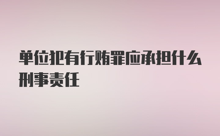 单位犯有行贿罪应承担什么刑事责任