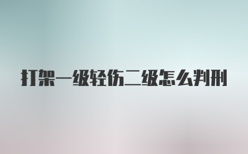 打架一级轻伤二级怎么判刑