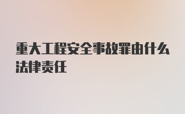 重大工程安全事故罪由什么法律责任