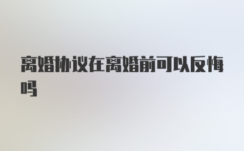 离婚协议在离婚前可以反悔吗