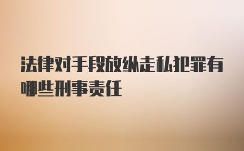 法律对手段放纵走私犯罪有哪些刑事责任