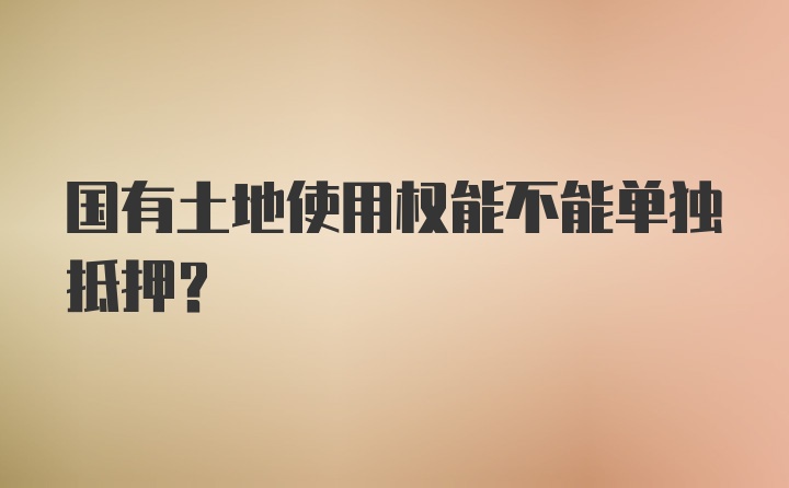 国有土地使用权能不能单独抵押？