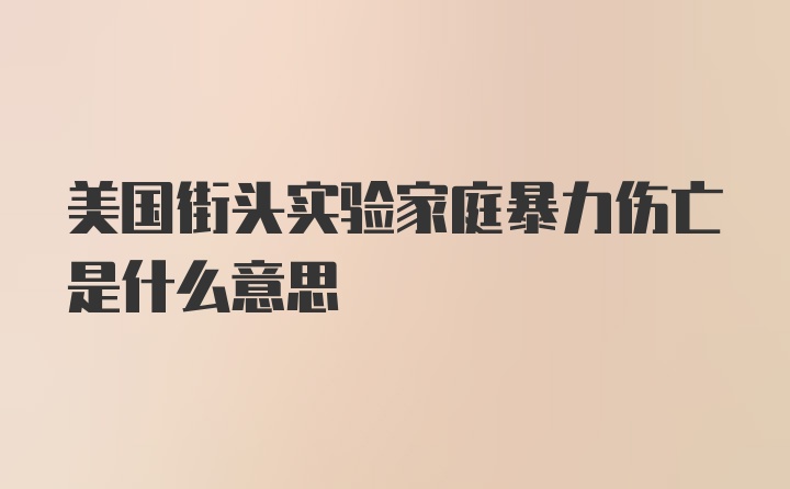 美国街头实验家庭暴力伤亡是什么意思