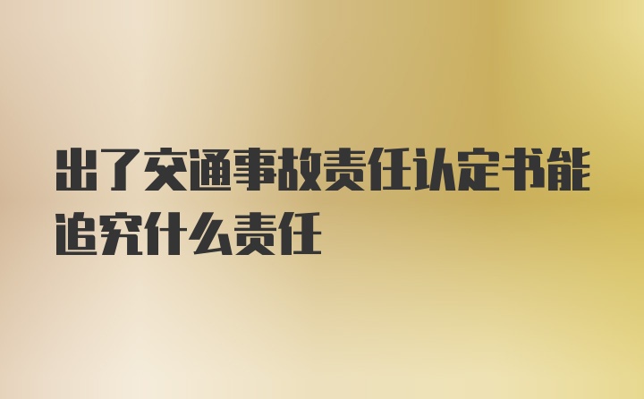 出了交通事故责任认定书能追究什么责任