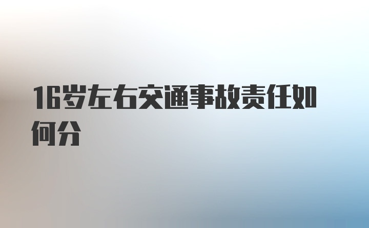 16岁左右交通事故责任如何分