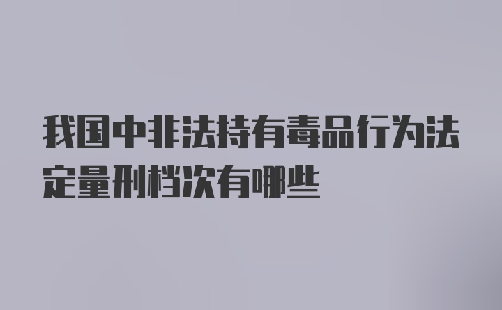 我国中非法持有毒品行为法定量刑档次有哪些