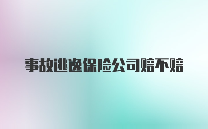 事故逃逸保险公司赔不赔