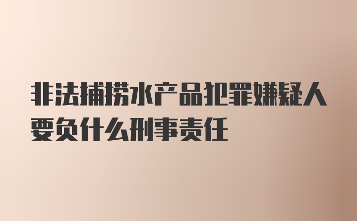 非法捕捞水产品犯罪嫌疑人要负什么刑事责任