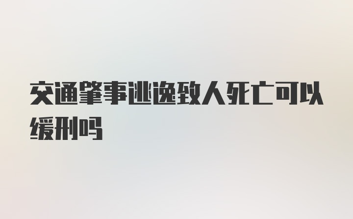 交通肇事逃逸致人死亡可以缓刑吗