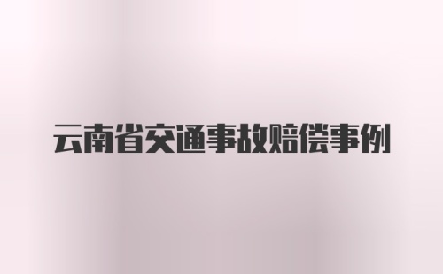 云南省交通事故赔偿事例