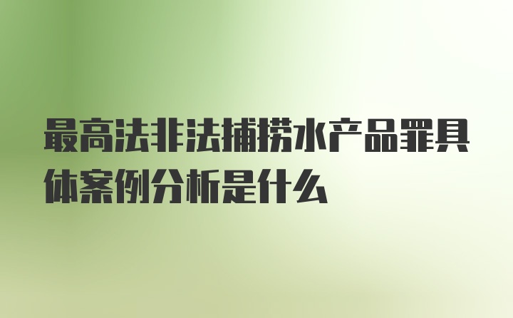 最高法非法捕捞水产品罪具体案例分析是什么