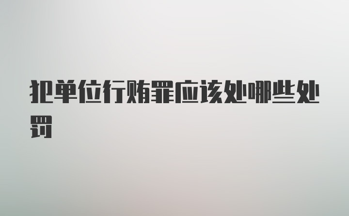 犯单位行贿罪应该处哪些处罚