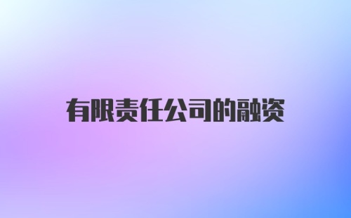 有限责任公司的融资