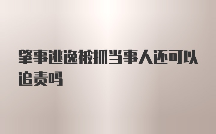 肇事逃逸被抓当事人还可以追责吗