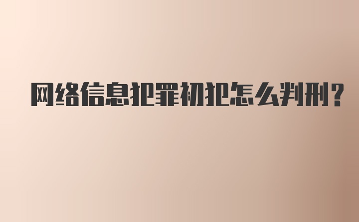 网络信息犯罪初犯怎么判刑？