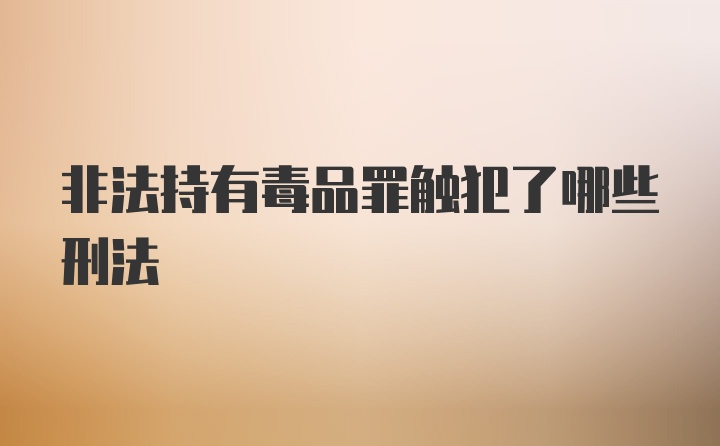 非法持有毒品罪触犯了哪些刑法