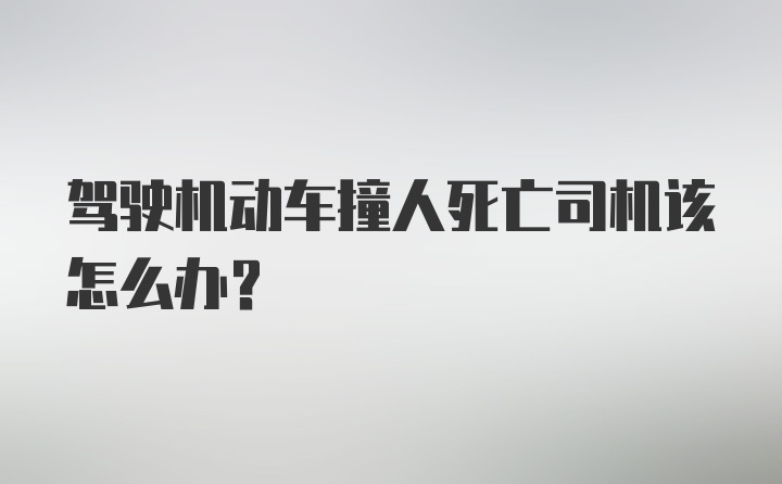 驾驶机动车撞人死亡司机该怎么办？