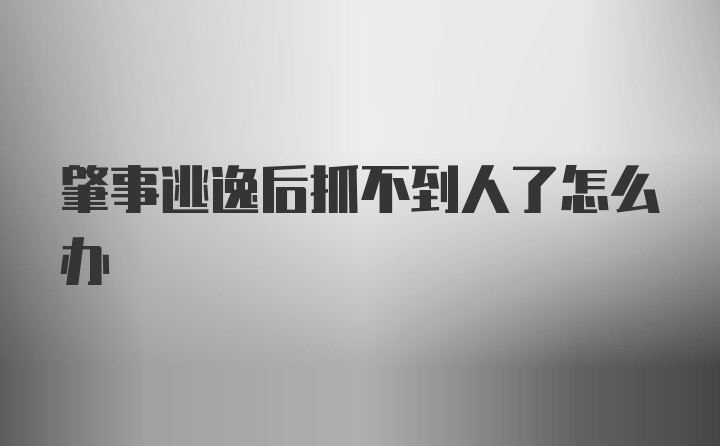 肇事逃逸后抓不到人了怎么办