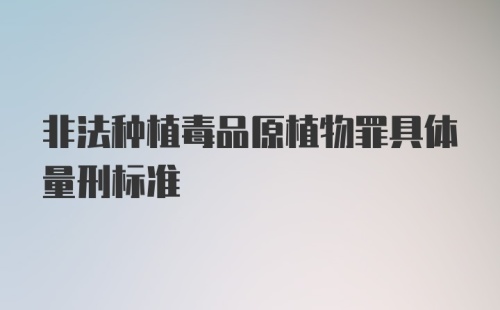 非法种植毒品原植物罪具体量刑标准