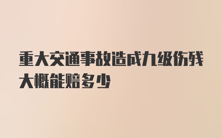 重大交通事故造成九级伤残大概能赔多少