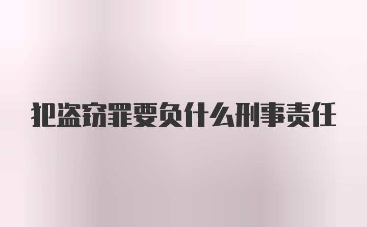 犯盗窃罪要负什么刑事责任