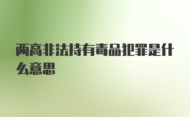 两高非法持有毒品犯罪是什么意思