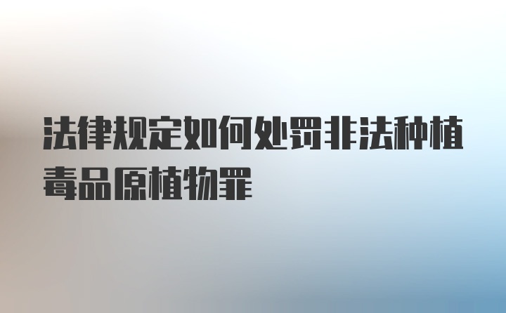 法律规定如何处罚非法种植毒品原植物罪