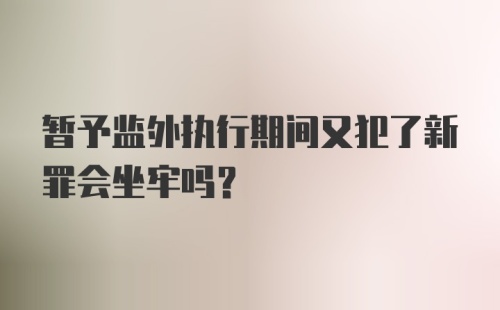 暂予监外执行期间又犯了新罪会坐牢吗？