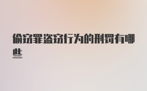 偷窃罪盗窃行为的刑罚有哪些