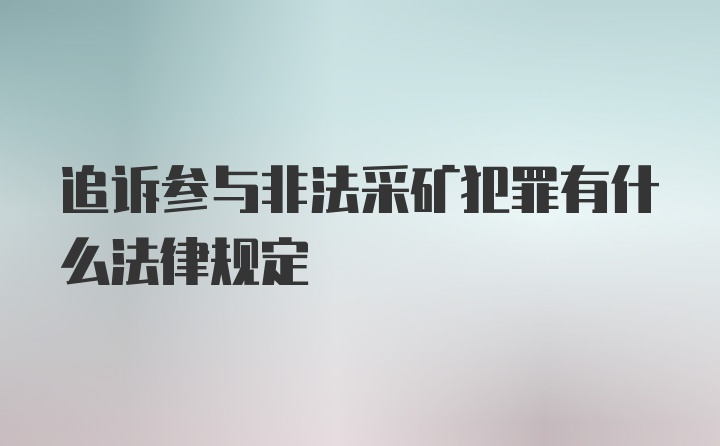 追诉参与非法采矿犯罪有什么法律规定