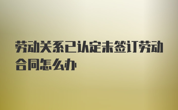 劳动关系已认定未签订劳动合同怎么办