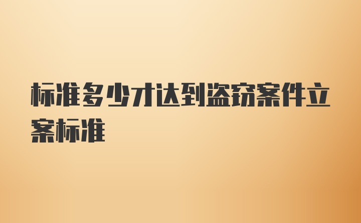 标准多少才达到盗窃案件立案标准