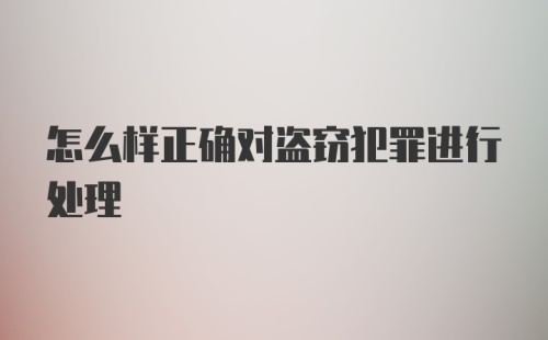 怎么样正确对盗窃犯罪进行处理