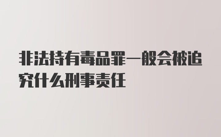 非法持有毒品罪一般会被追究什么刑事责任