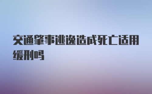 交通肇事逃逸造成死亡适用缓刑吗