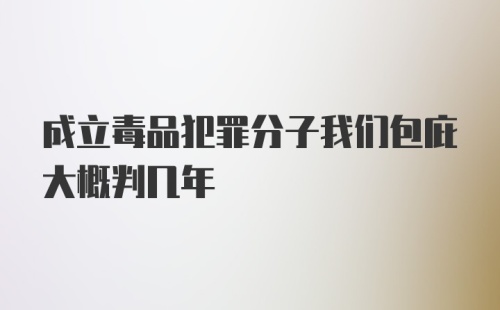 成立毒品犯罪分子我们包庇大概判几年