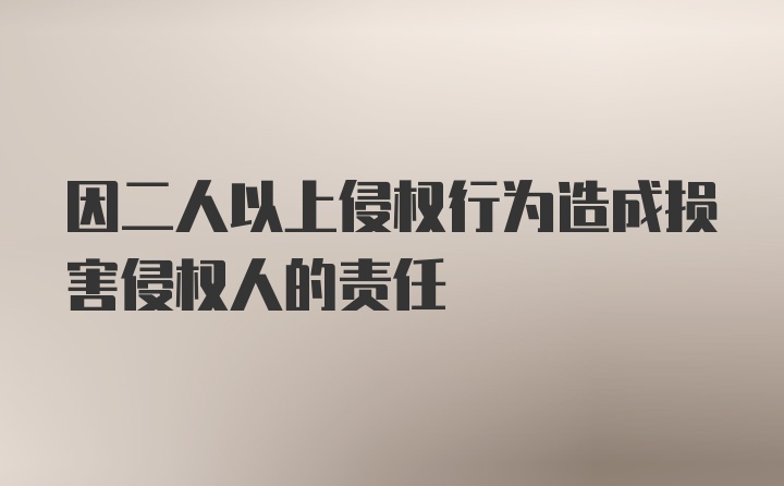 因二人以上侵权行为造成损害侵权人的责任