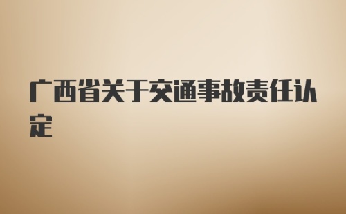 广西省关于交通事故责任认定