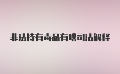 非法持有毒品有啥司法解释