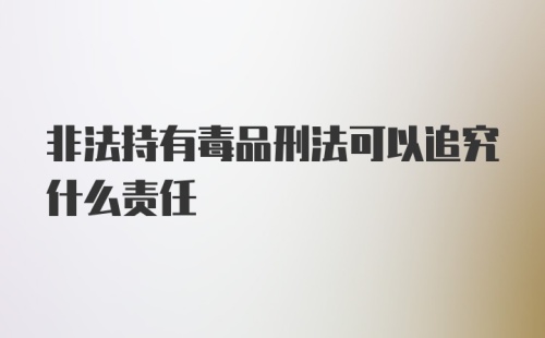 非法持有毒品刑法可以追究什么责任