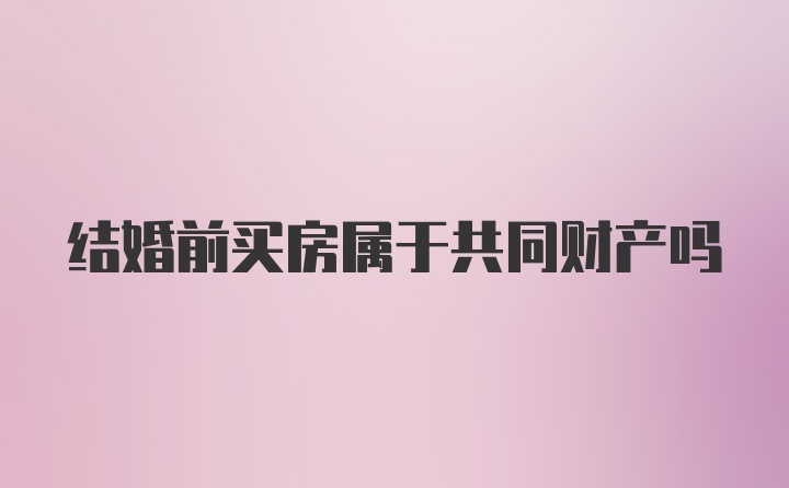 结婚前买房属于共同财产吗