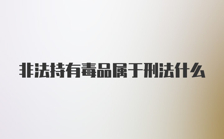 非法持有毒品属于刑法什么