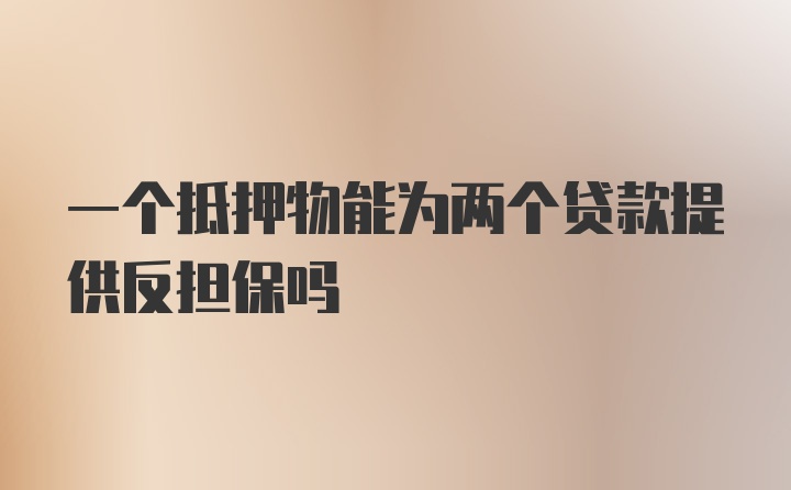 一个抵押物能为两个贷款提供反担保吗