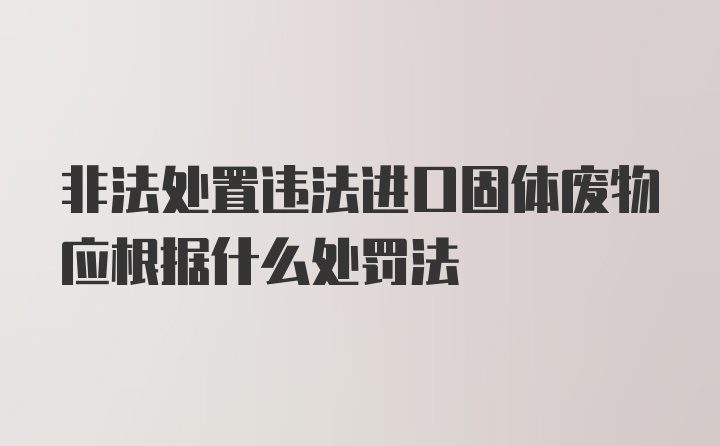 非法处置违法进口固体废物应根据什么处罚法