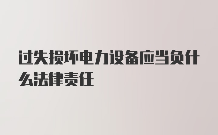 过失损坏电力设备应当负什么法律责任