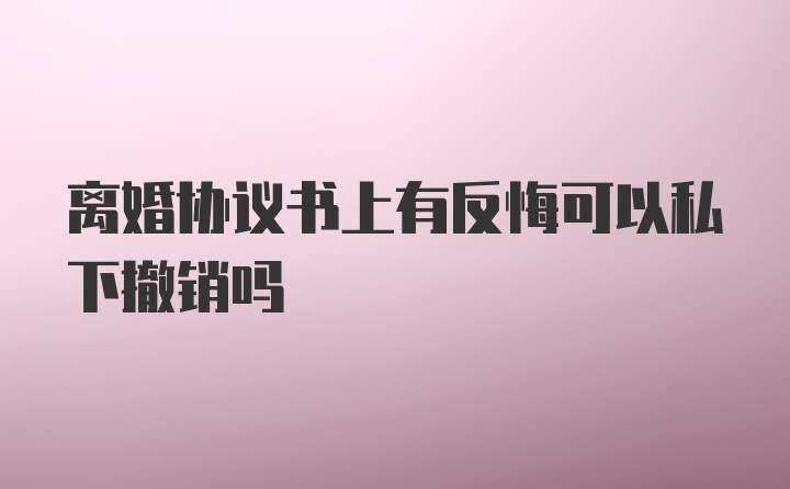 离婚协议书上有反悔可以私下撤销吗